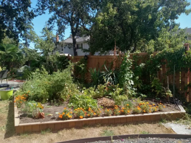 Furnished one-bedroom suite near Victoria General Hospital